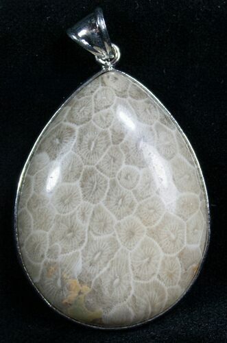 Beautiful Fossil Coral Pendant - Million Years Old #7921